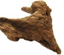 Soil  or Ground Agarwood